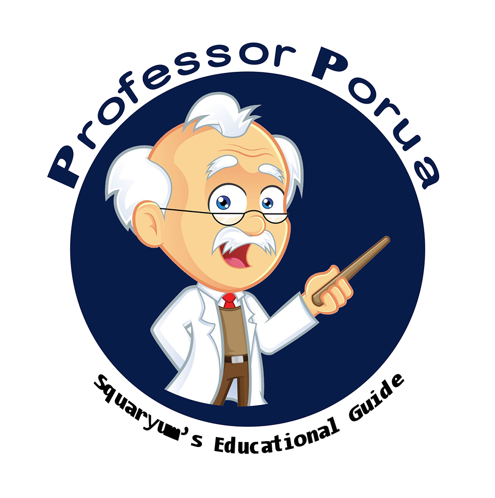 Number System Professor Porua Number System Professor Porua